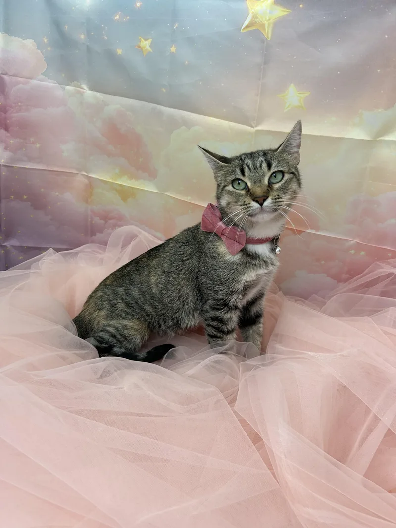 Bud & Sissy thumbnail 3