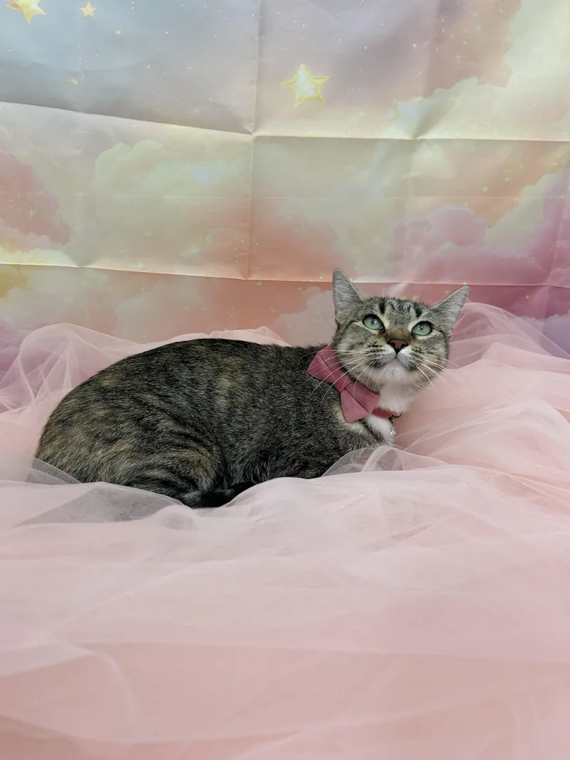 Bud & Sissy thumbnail 4