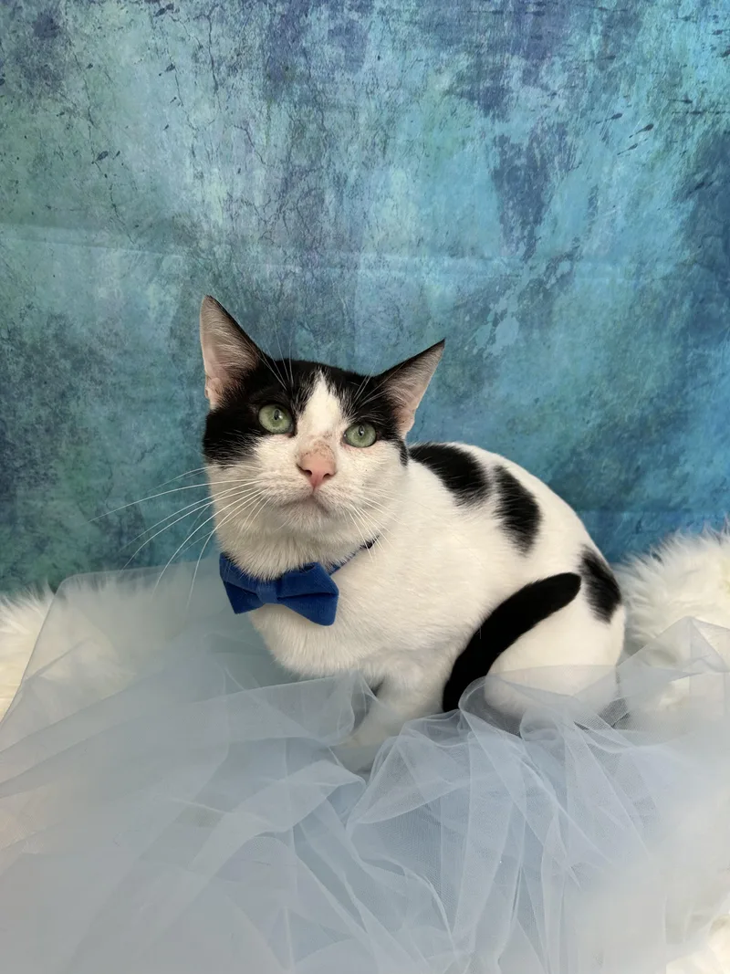 Bud & Sissy thumbnail 5