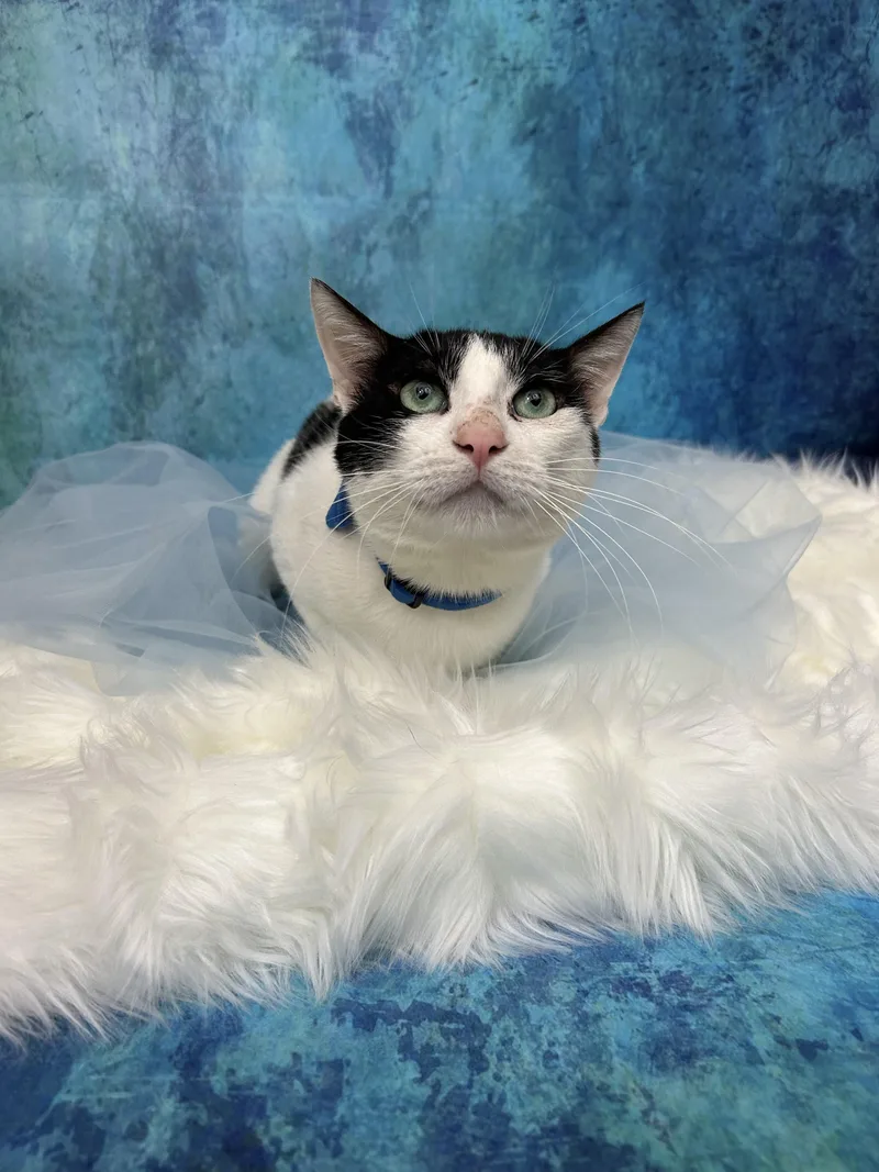 Bud & Sissy thumbnail 6