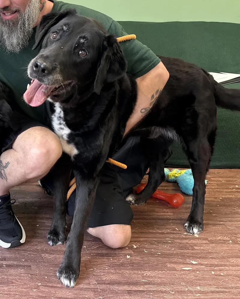 Meg And Mike thumbnail 2