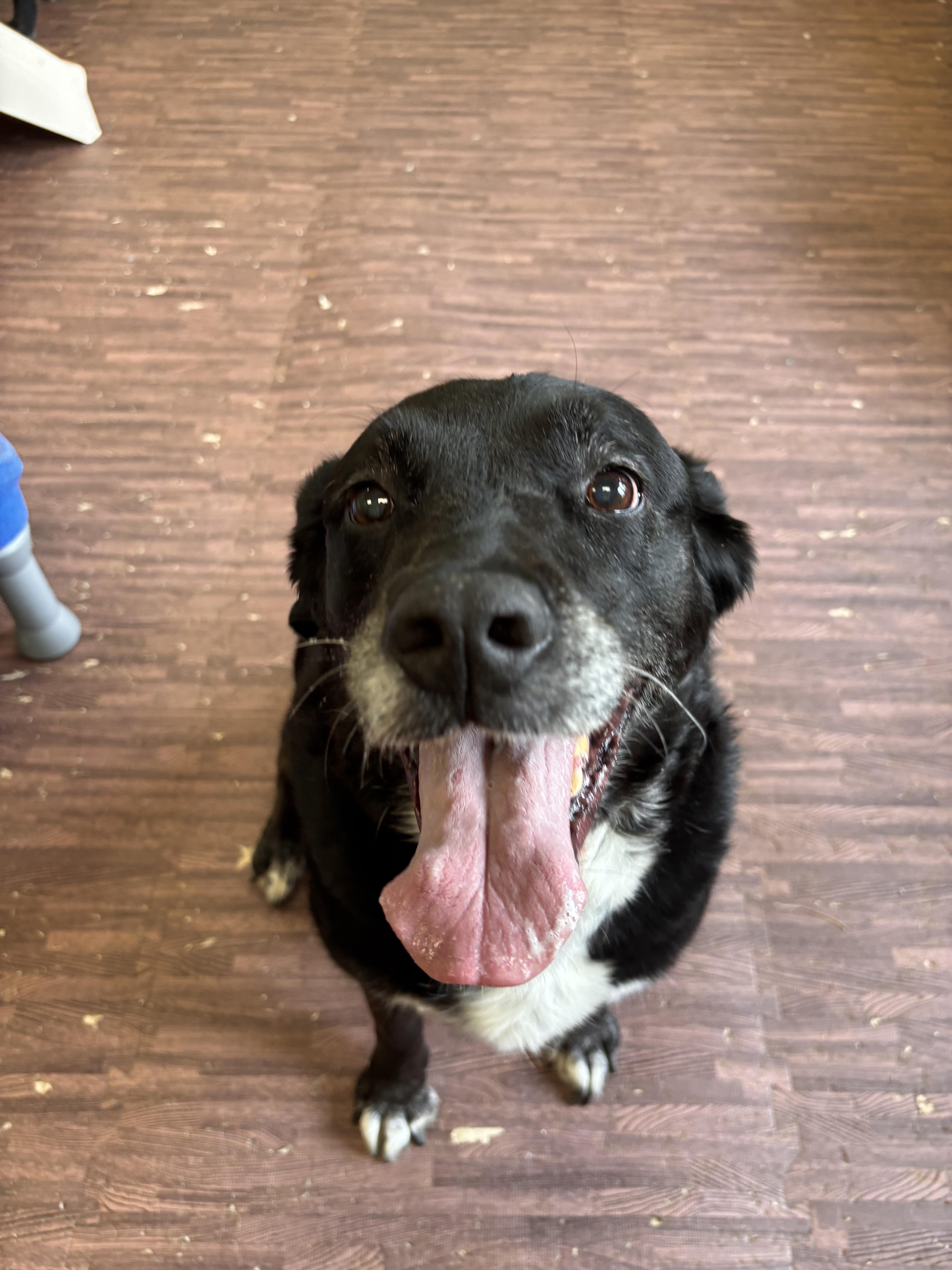 Meg And Mike thumbnail 3