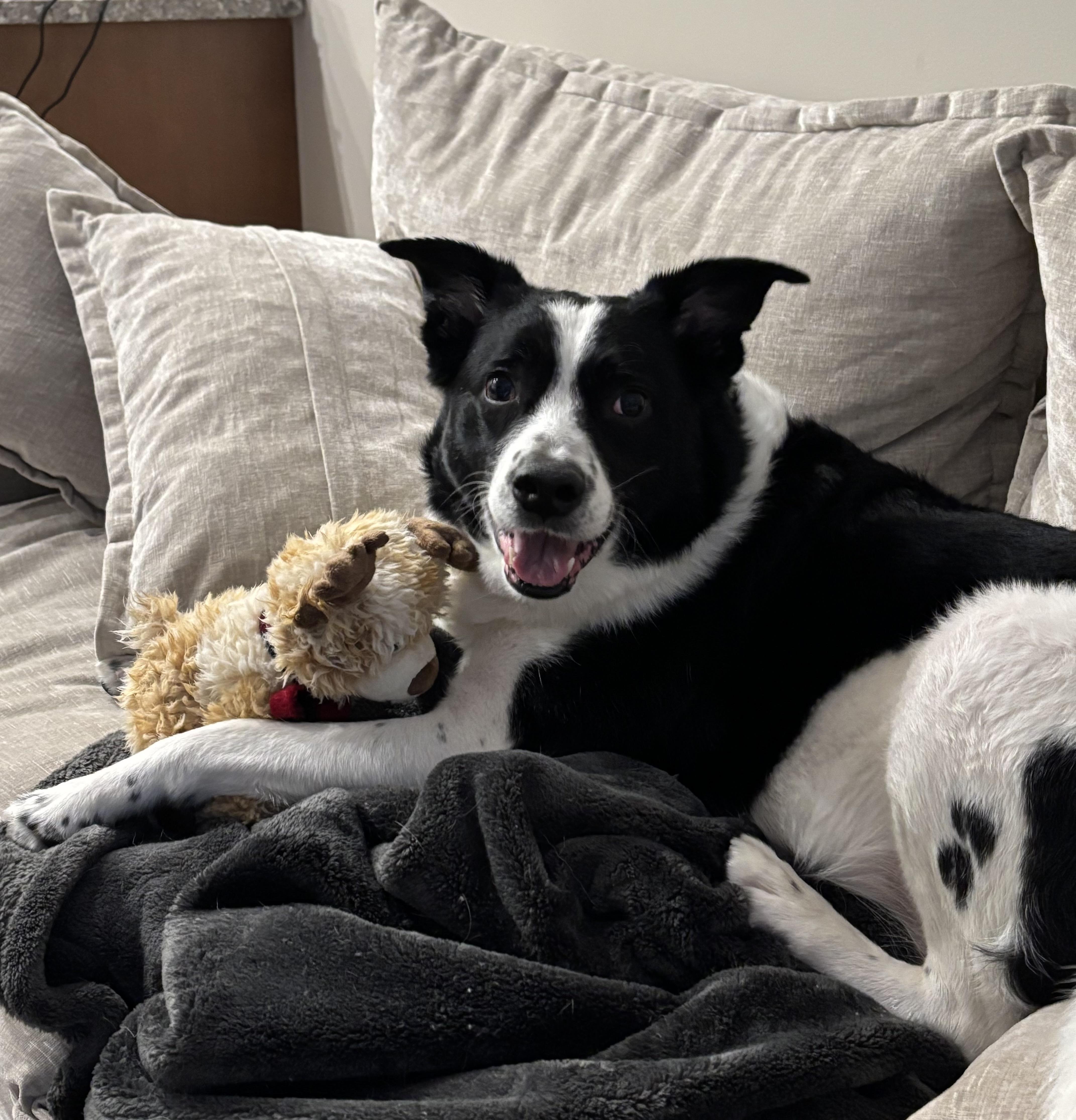 Prince Courtesy Listing thumbnail 4