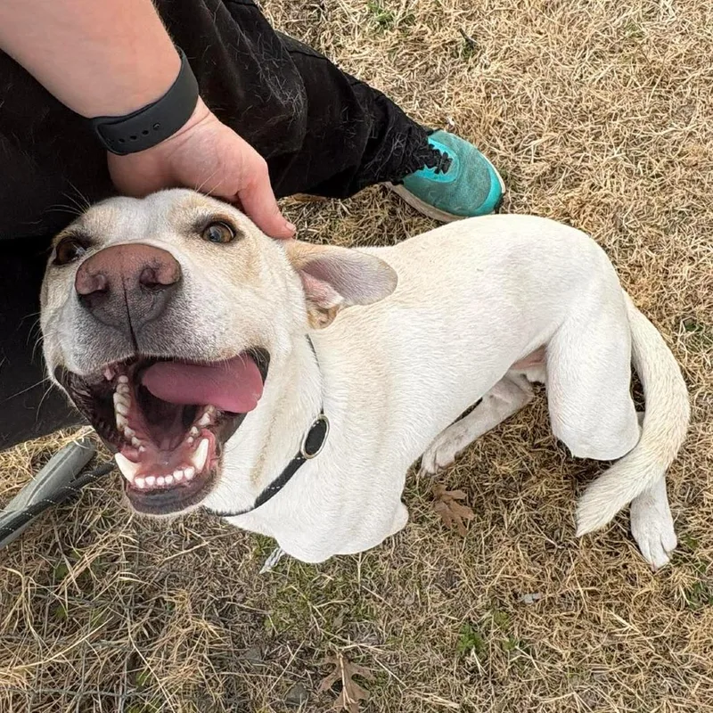 Jackson D thumbnail 3