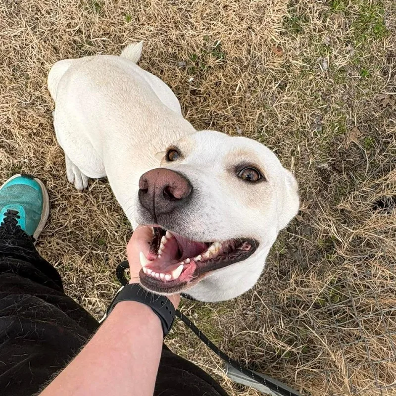 Jackson D thumbnail 4