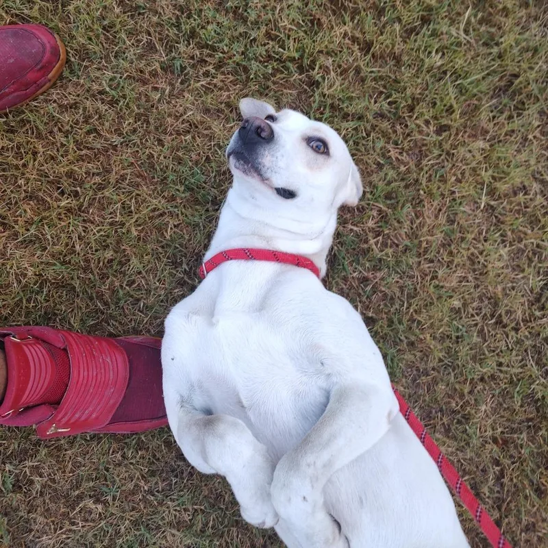 Jackson D thumbnail 5