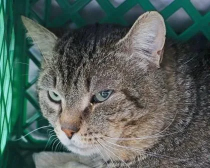 Notre Dame thumbnail 2