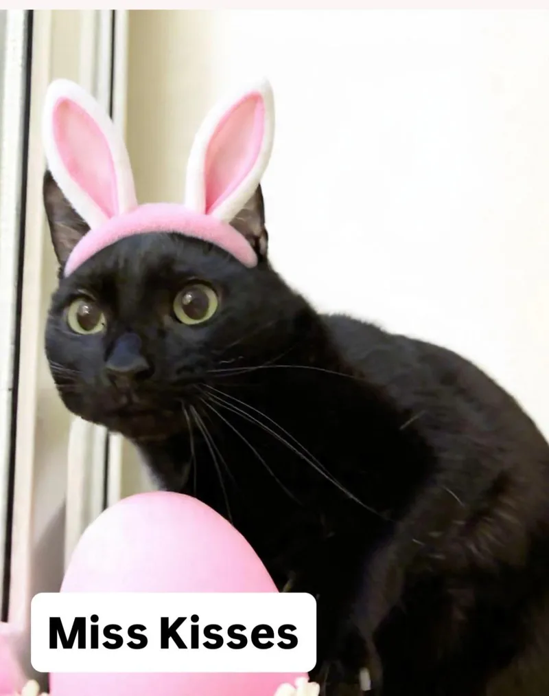 Miss Kisses At Martinez