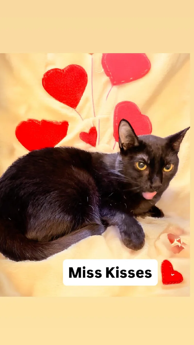 Miss Kisses At Martinez thumbnail 2