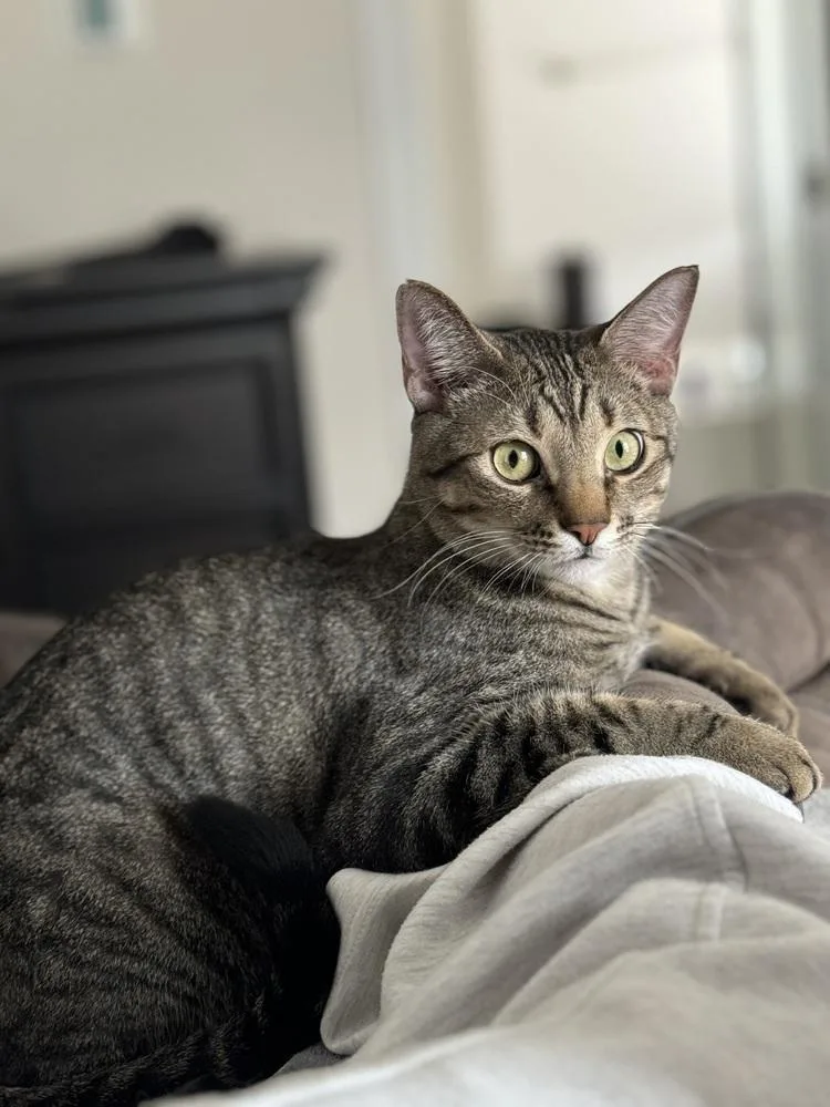 Simba Lloyd thumbnail 3