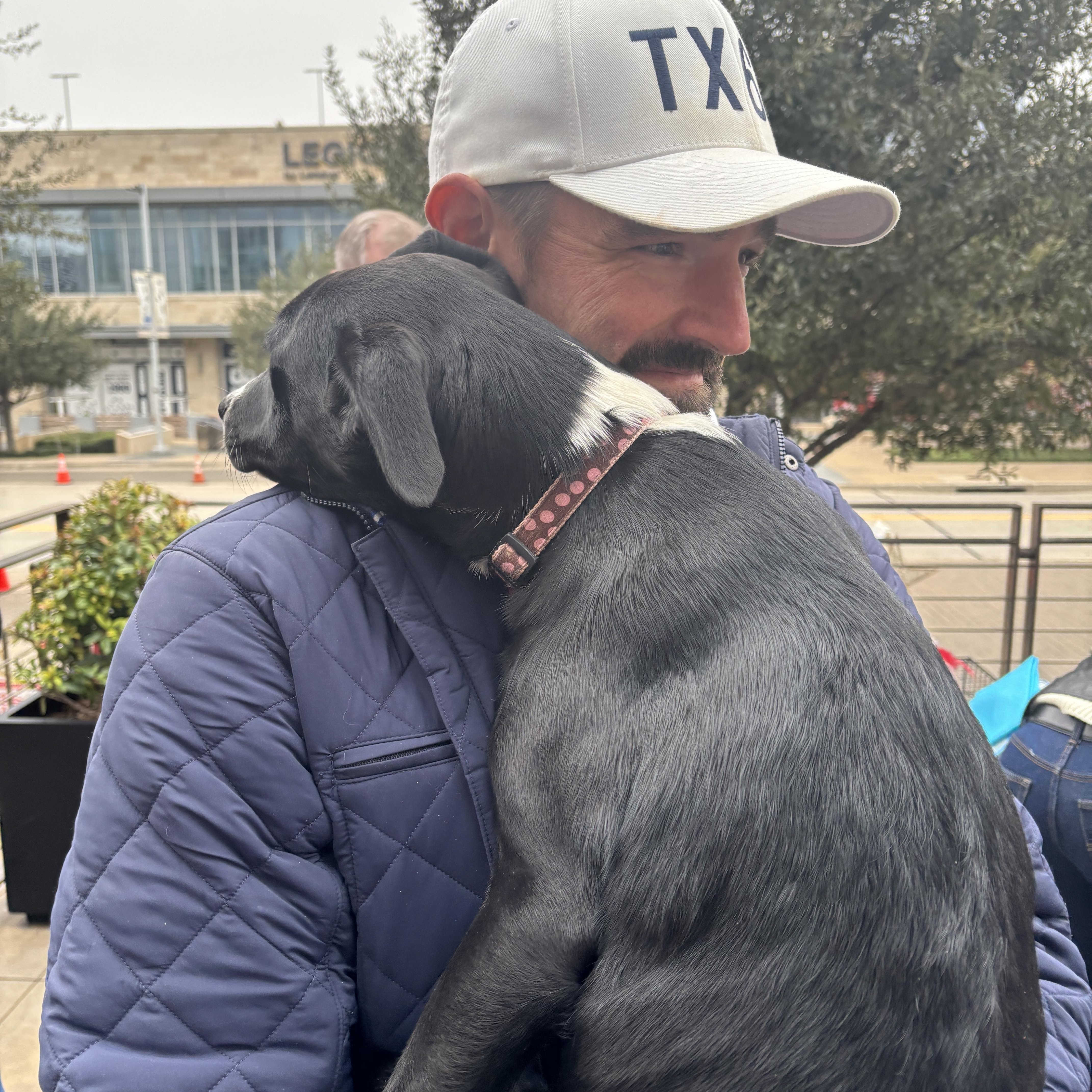 Puppies From Texas thumbnail 4