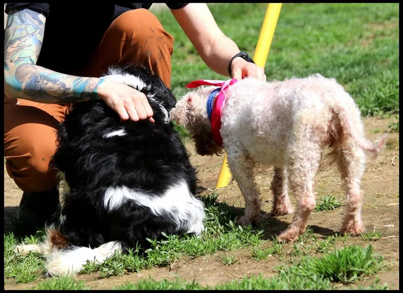 Penny And Pearl thumbnail 2