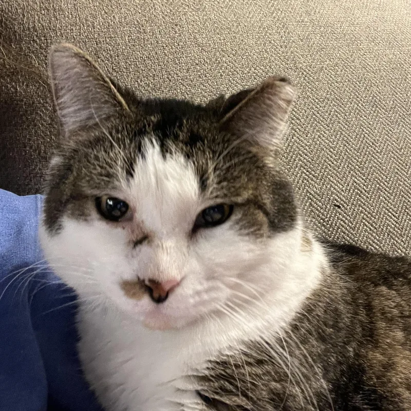 Disney  Fiv+ thumbnail 2