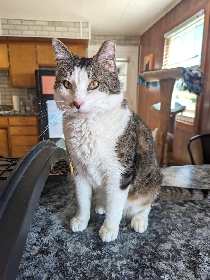 Disney  Fiv+ thumbnail 4