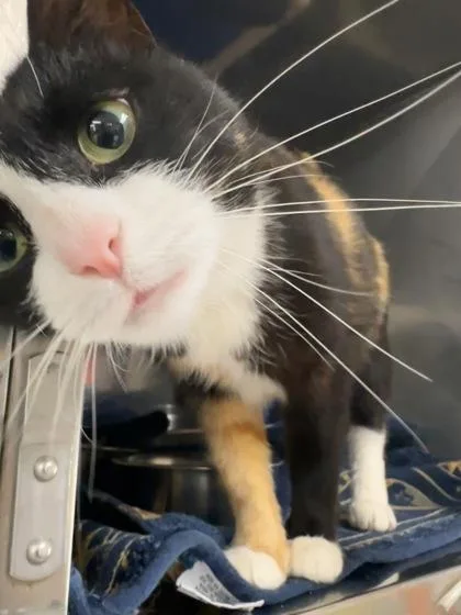 Skittles thumbnail 2