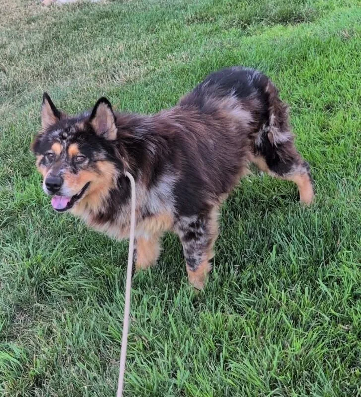 Roscoe
