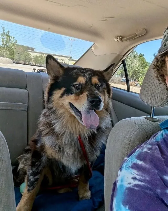 Roscoe thumbnail 2