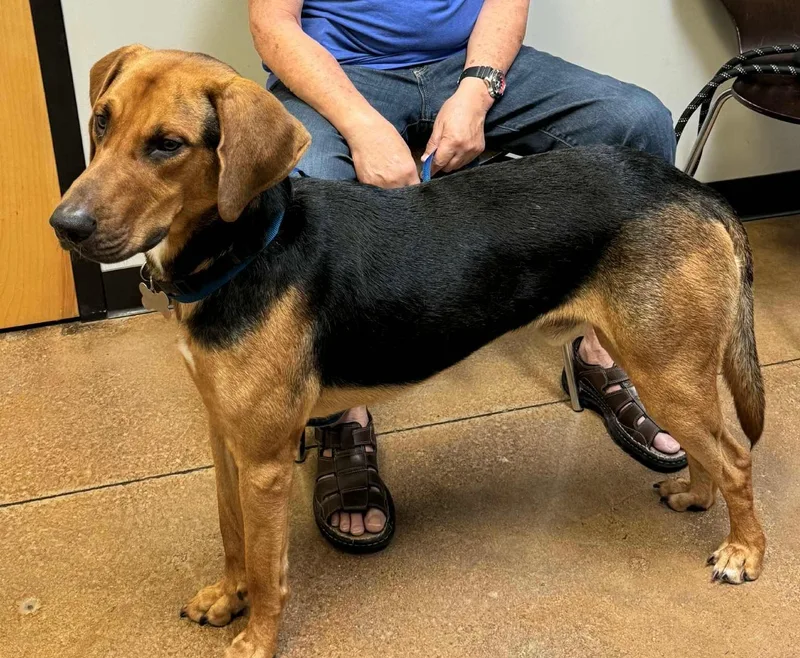 ~ Courtesy ~ Bentley