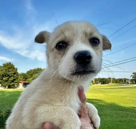 Baby Garth thumbnail 2