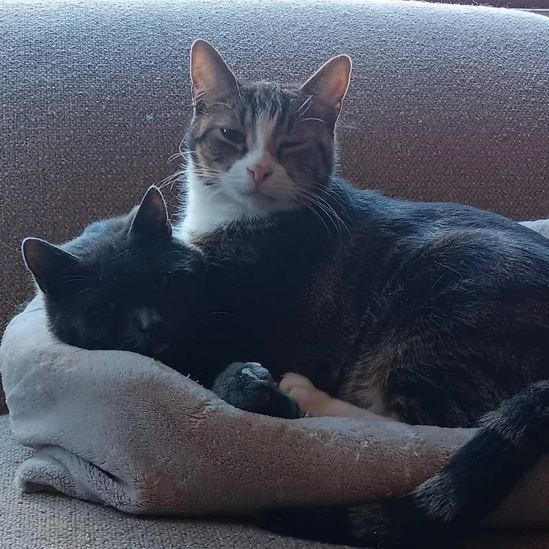 Diana And Mateo thumbnail 5