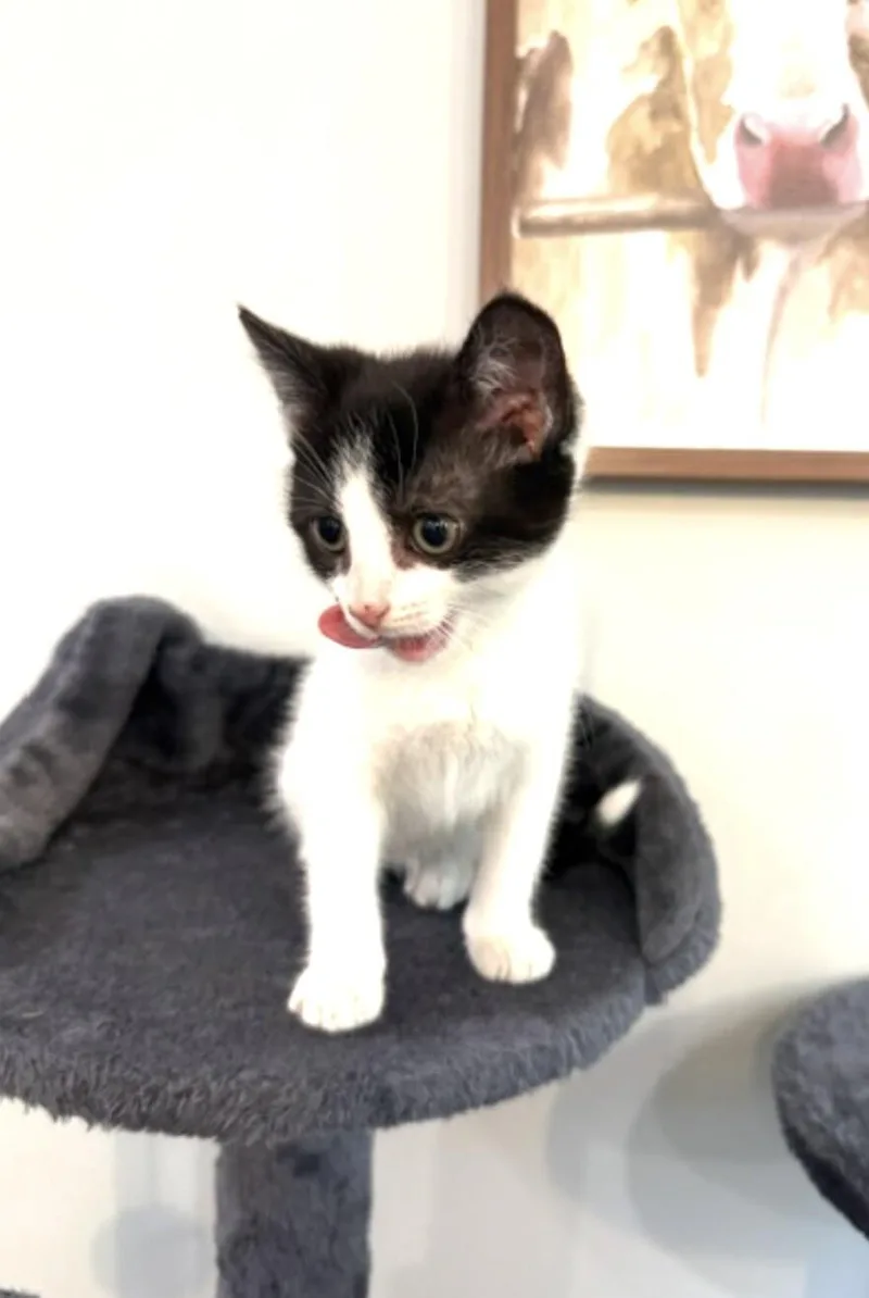 Peaches thumbnail 6