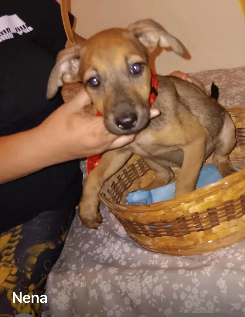 Cuddles "i Am Ready!" thumbnail 2