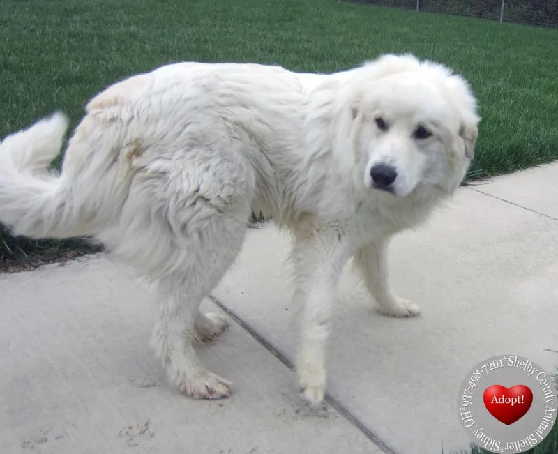 Mack Yrly thumbnail 2