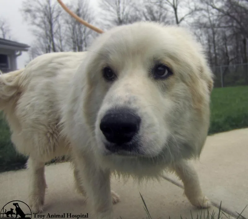 Mack Yrly thumbnail 3