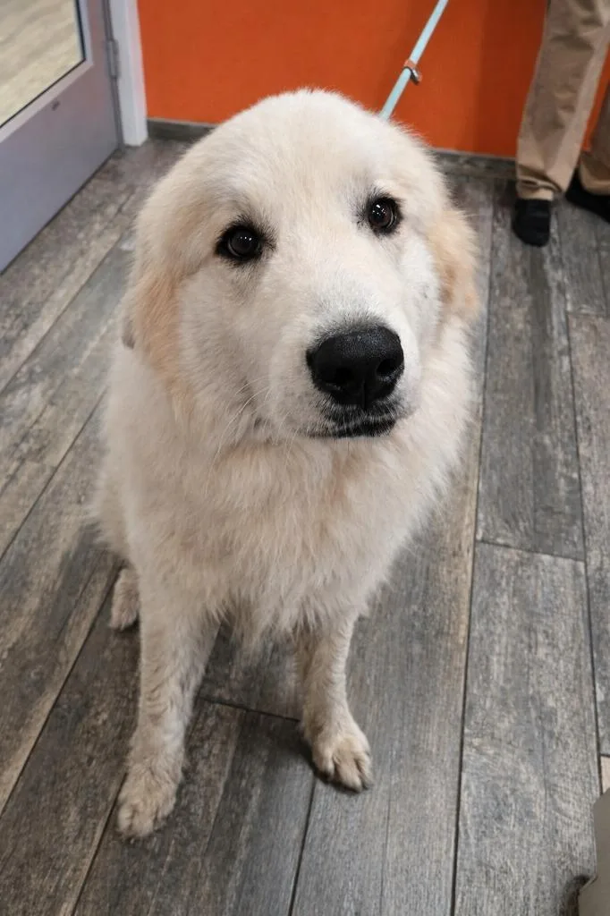 Mack Yrly thumbnail 4