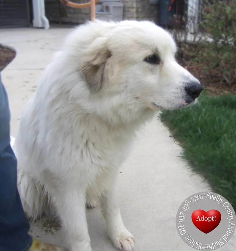 Mack Yrly thumbnail 5