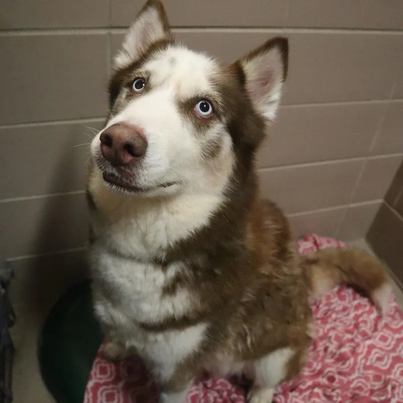 Max