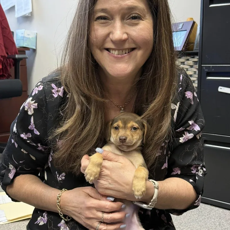 Kaitlyn M thumbnail 6