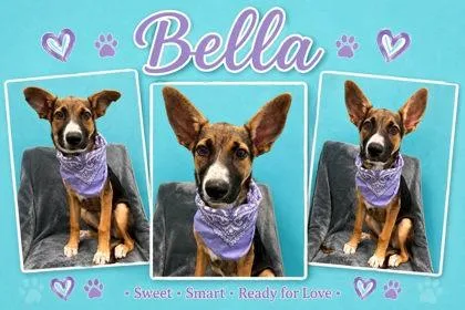 Bella