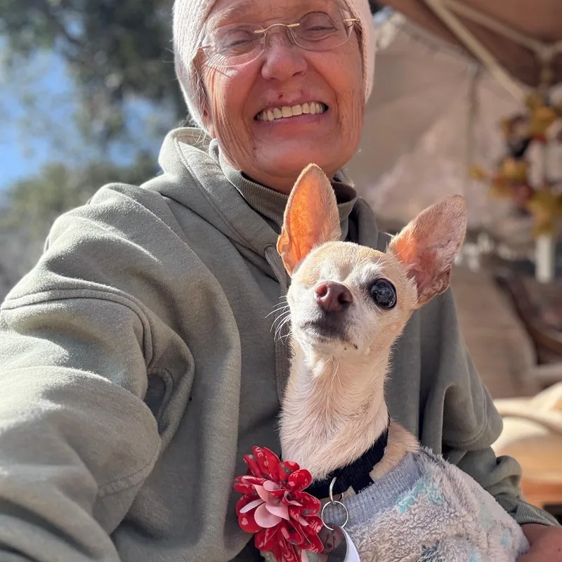 Wabi Sabi thumbnail 2