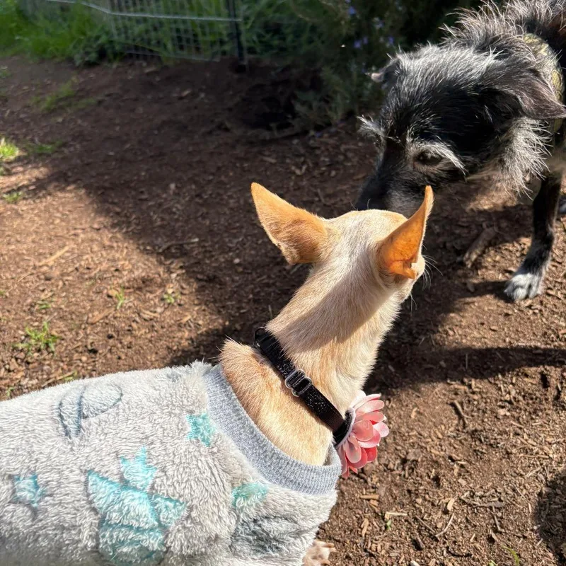 Wabi Sabi thumbnail 4