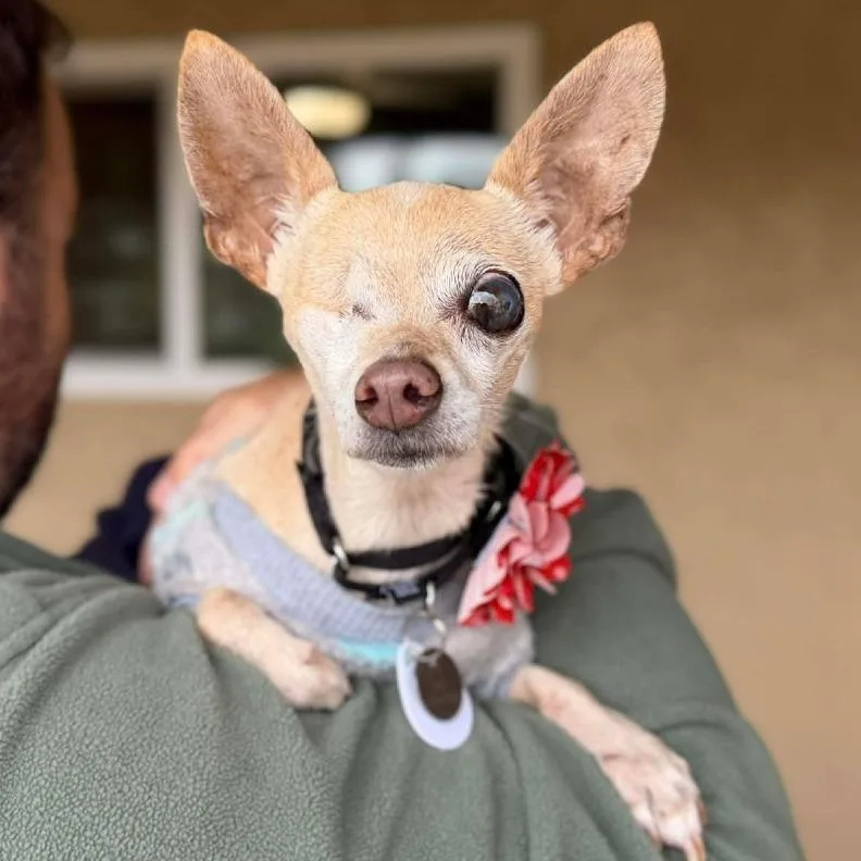 Wabi Sabi thumbnail 5