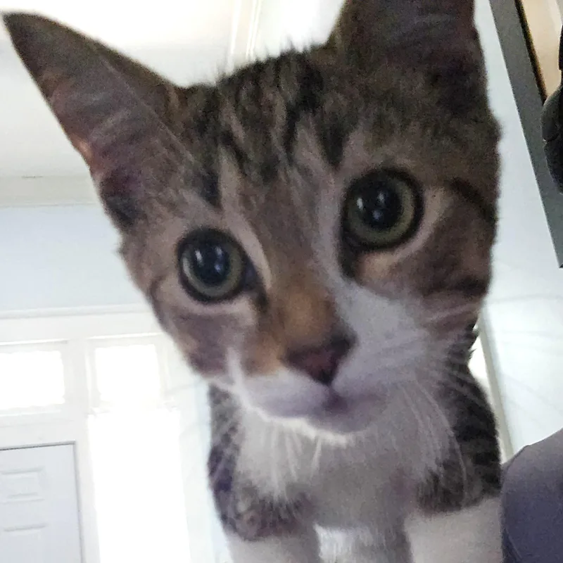 Beaugregory thumbnail 3