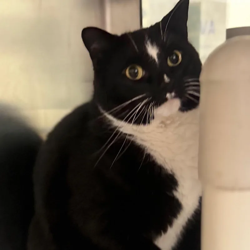 Jam thumbnail 3