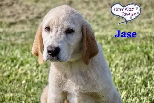 Jase thumbnail 3