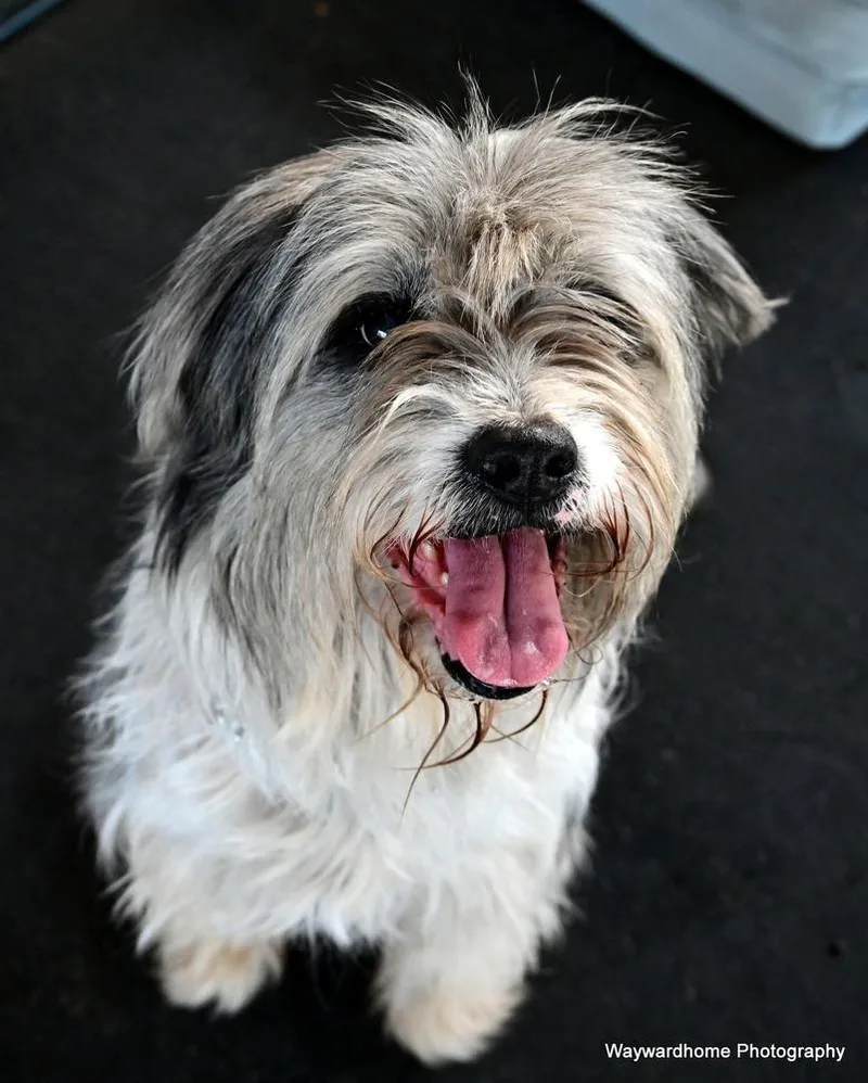 Winn Dixie thumbnail 4