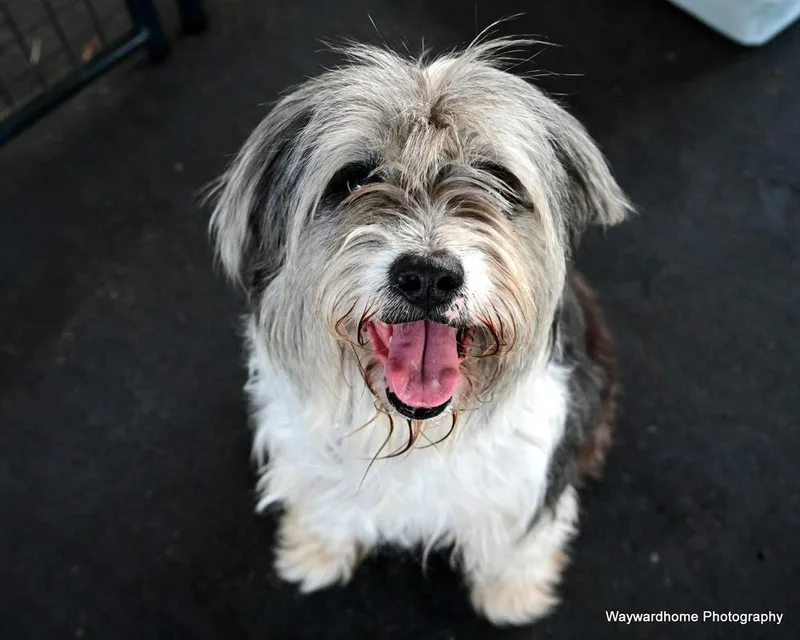 Winn Dixie thumbnail 5