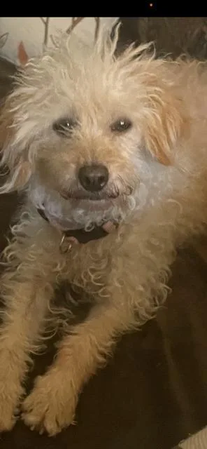 Marnie
