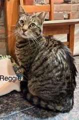 Reggie