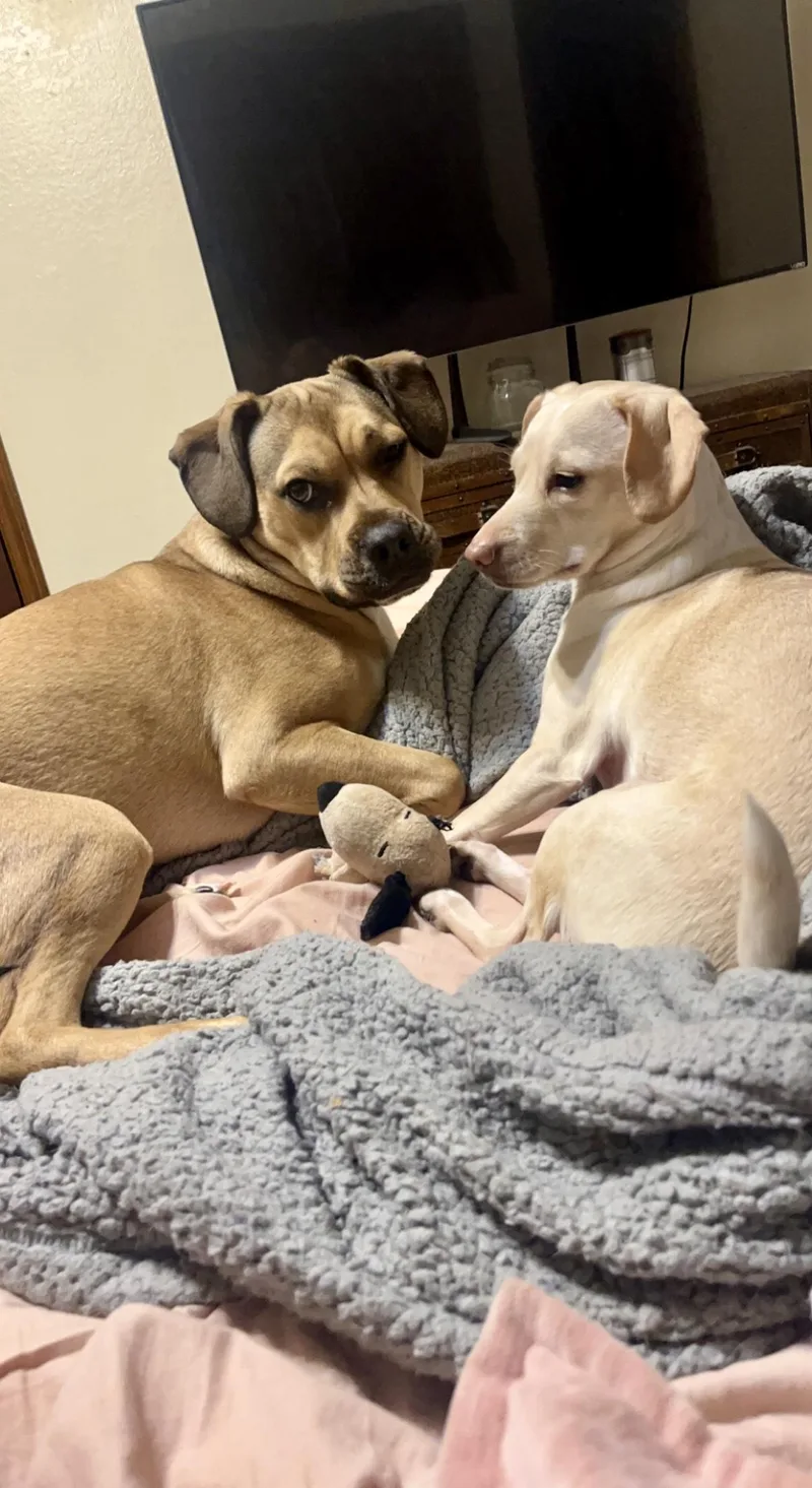 June In Texarkana Tx thumbnail 4