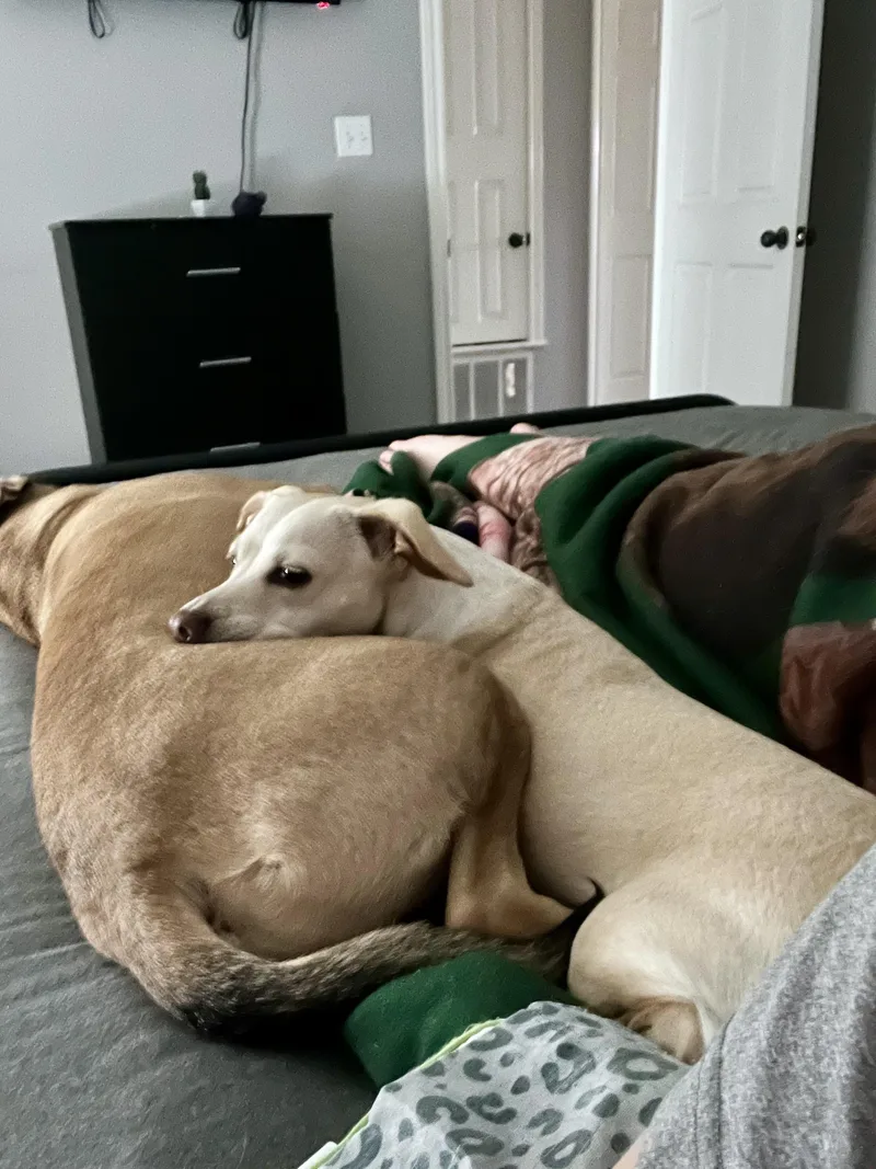 June In Texarkana Tx thumbnail 5