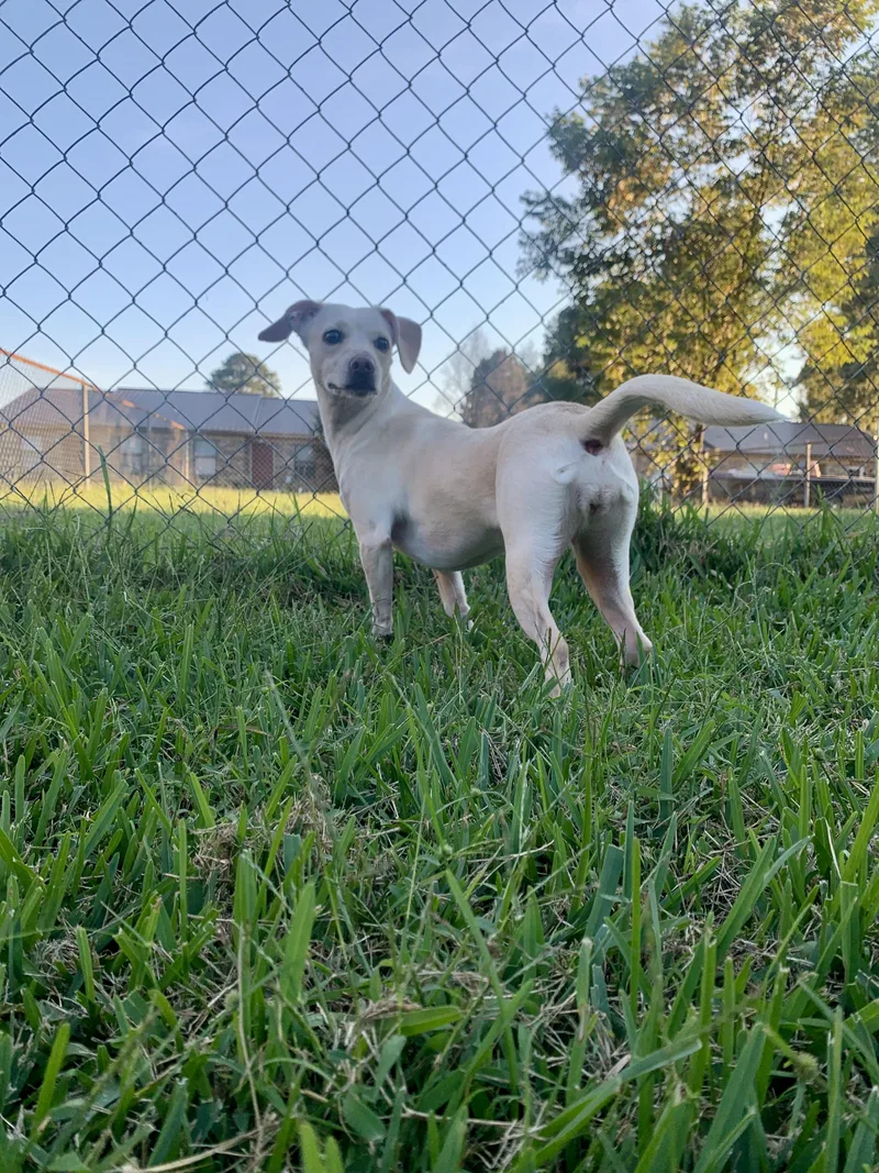 June In Texarkana Tx thumbnail 6