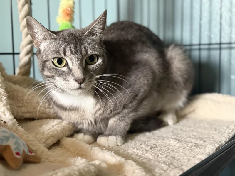 Luna Ironwood thumbnail 2