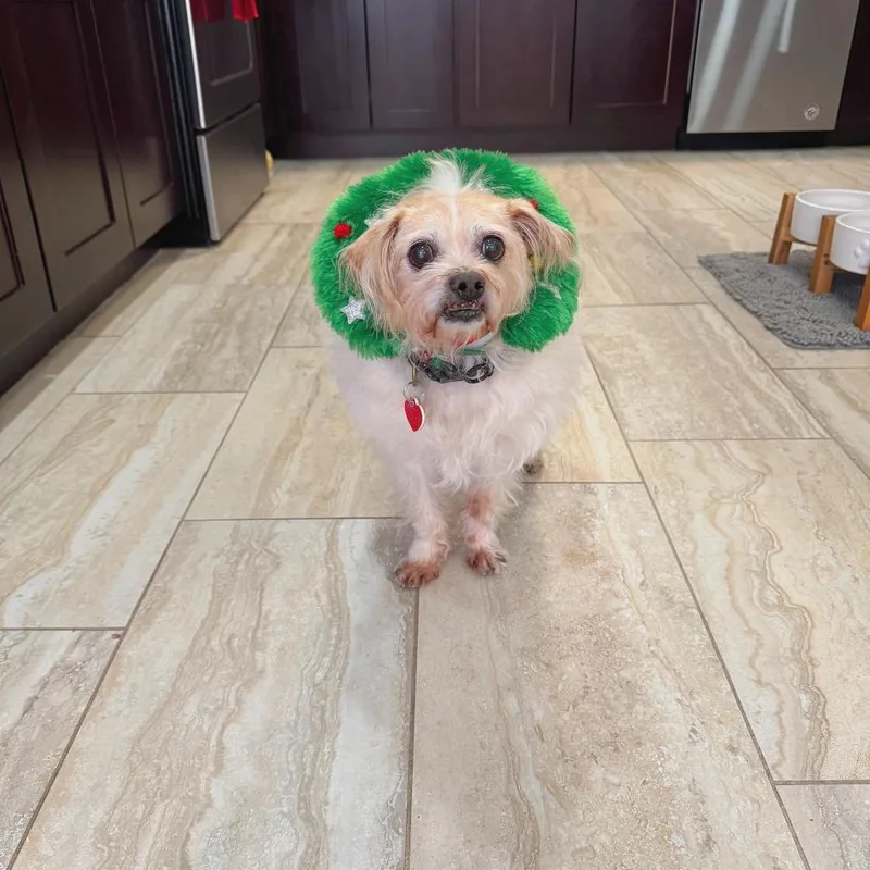 Jake From State Farm thumbnail 2