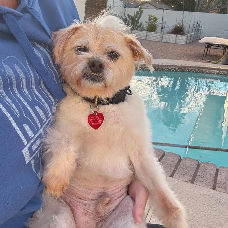 Jake From State Farm thumbnail 3