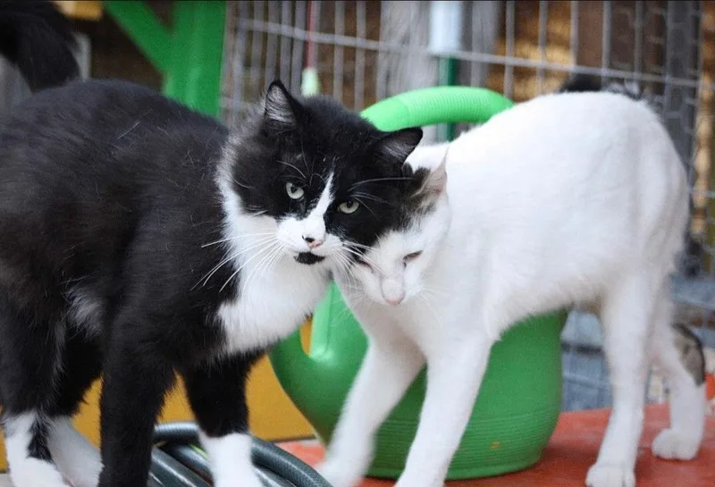 Alex And Feather Together thumbnail 2